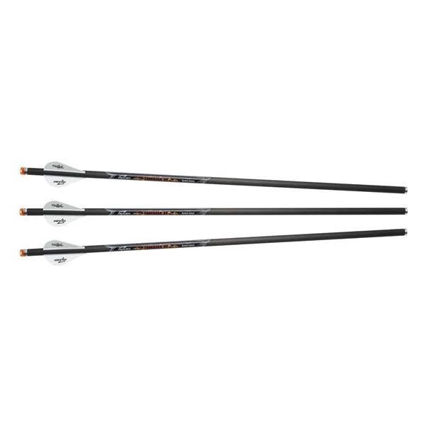 Excalibur Arrows and shafts Diablo Crossbow Arrows Kit 3 Excalibur Arrows and shafts Diablo Crossbow Arrows Kit