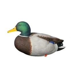 Avian X Duck decoys AXP Full Body Mallard Decoys -Hunting Sales Shop 460953 8061 LookOut Male