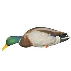 Avian X Duck decoys AXP Full Body Mallard Decoys -Hunting Sales Shop 460953 8061 StretchNeckFeeder