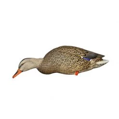 Avian X Duck decoys AXP Full Body Mallard Decoys -Hunting Sales Shop 460953 8061 StretchNeckFeeder Femelle