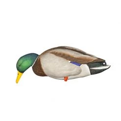 Avian X Duck decoys AXP Full Body Mallard Decoys -Hunting Sales Shop 460953 8061 StretchNeckFeeder Male