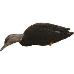 Avian X Topflight Full Body Black Duck Decoys -Hunting Sales Shop 460954 femelle passif