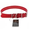 SportDOG Collars, harnesses and leashes Dog Neck Tape 2,5 cm -Hunting Sales Shop 463558 SAC30 13322 SportDog Collar Red 600x600 1625346008