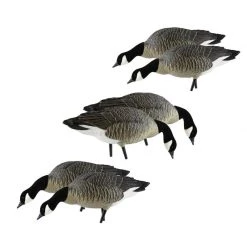 Avian X AXP Lesser Feeder Goose Decoys -Hunting Sales Shop 504814