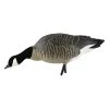 Avian X AXP Lesser Feeder Goose Decoys -Hunting Sales Shop 504814 9007 MangeurCouTendu