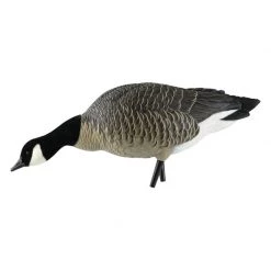 Avian X AXP Lesser Feeder Goose Decoys