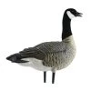 Avian X AXP Lesser Active Goose Decoys -Hunting Sales Shop 504816 9008 Appelant
