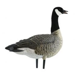 Avian X AXP Lesser Active Goose Decoys