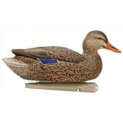 Avian X Duck decoys Topflight Open Water Mallard -Hunting Sales Shop 504819 8060 FemelleNageuse