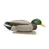 Avian X Duck decoys Topflight Backwater Mallard Decoys -Hunting Sales Shop 504820 8070 mallard drake3