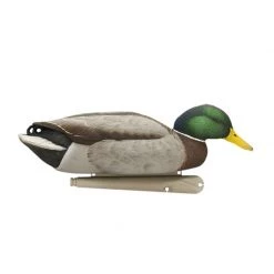 Avian X Duck decoys Topflight Backwater Mallard Decoys
