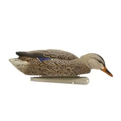 Avian X Duck decoys Topflight Backwater Mallard Decoys -Hunting Sales Shop 504820 8070 mallard hen3 1
