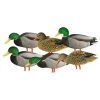 GHG Decoys Duck decoys FFD Elite Fullbody Mallard Harvester -Hunting Sales Shop 523901 1624671396 1642790478