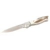 Lamoureux & Sons Fixed blade knives Anticosti Stag Knife -Hunting Sales Shop 547171