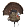 Avian X Turkey decoys Trophy Tom Turkey Decoy -Hunting Sales Shop 554045 FG DCOY 68021