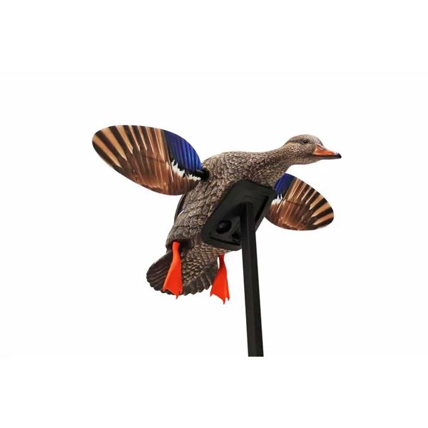 Mojo Outdoors Goose decoys Mini Mallard Hen Decoy 3 Mojo Outdoors Goose decoys Mini Mallard Hen Decoy
