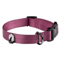 Canadian Canine Collars, harnesses and leashes Breaker Dog Collar -Hunting Sales Shop 599952 1625346129 1637005427