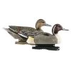 Banded Hunter Series Life Size Pintails Duck Decoys -Hunting Sales Shop 73033