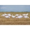 GHG Decoys Goose decoys Pro-Grade Snow Goose Silhouette Decoys - Pack of 12 -Hunting Sales Shop 77002b