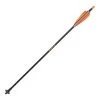 Allen Arrows and shafts Titan Crossbow Decocking Bolt -Hunting Sales Shop 93340