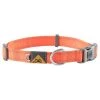 Browning Dog training supplies Classic Dog Collar -Hunting Sales Shop A26256 p000021 safety orange 1625346216