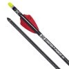 Ten Point Arrows and shafts EVO-X CenterPunch 16 Crossbow Arrow 2 Ten Point Arrows and shafts EVO-X CenterPunch 16 Crossbow Arrow -Hunting Sales Shop B17480