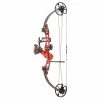 Bear Archery Compound bows Sucker Punch RTF Right Handed Bowfishing Bow -Hunting Sales Shop CJ CB2 15R 1658413342