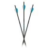 Carbon Express Arrows and shafts Predator Arrow -Hunting Sales Shop CX Hunting Arrows Predator Fan 14812.1523999558