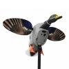 Mojo Outdoors Duck decoys Mallard Elite Series - King Mallard Decoy