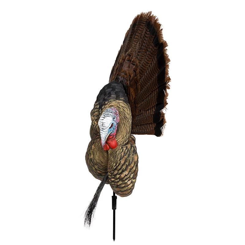 Avian X Turkey decoys Trophy Tom Turkey Decoy 4 Avian X Turkey decoys Trophy Tom Turkey Decoy - Image 2