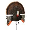 Mojo Outdoors Turkey decoys Mojo Scoot-N-Shoot MAX Decoy 1 Mojo Outdoors Turkey decoys Mojo Scoot-N-Shoot MAX Decoy -Hunting Sales Shop sns max 2